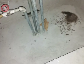 涿州卫生间测漏水价格明细